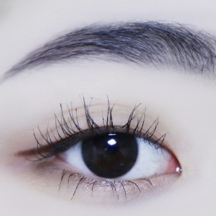 Holoris Classic Black(日拋)